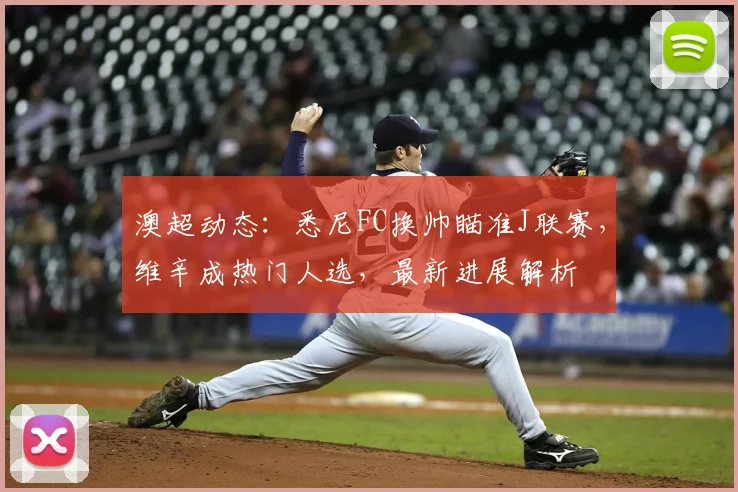 澳超动态:悉尼FC换帅瞄准J联赛,维辛成热门人选,最新进展解析